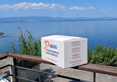 Carton de déménagement marqué "Dubis Déménagement" sur une rambarde en bois et métal avec vue sur un lac